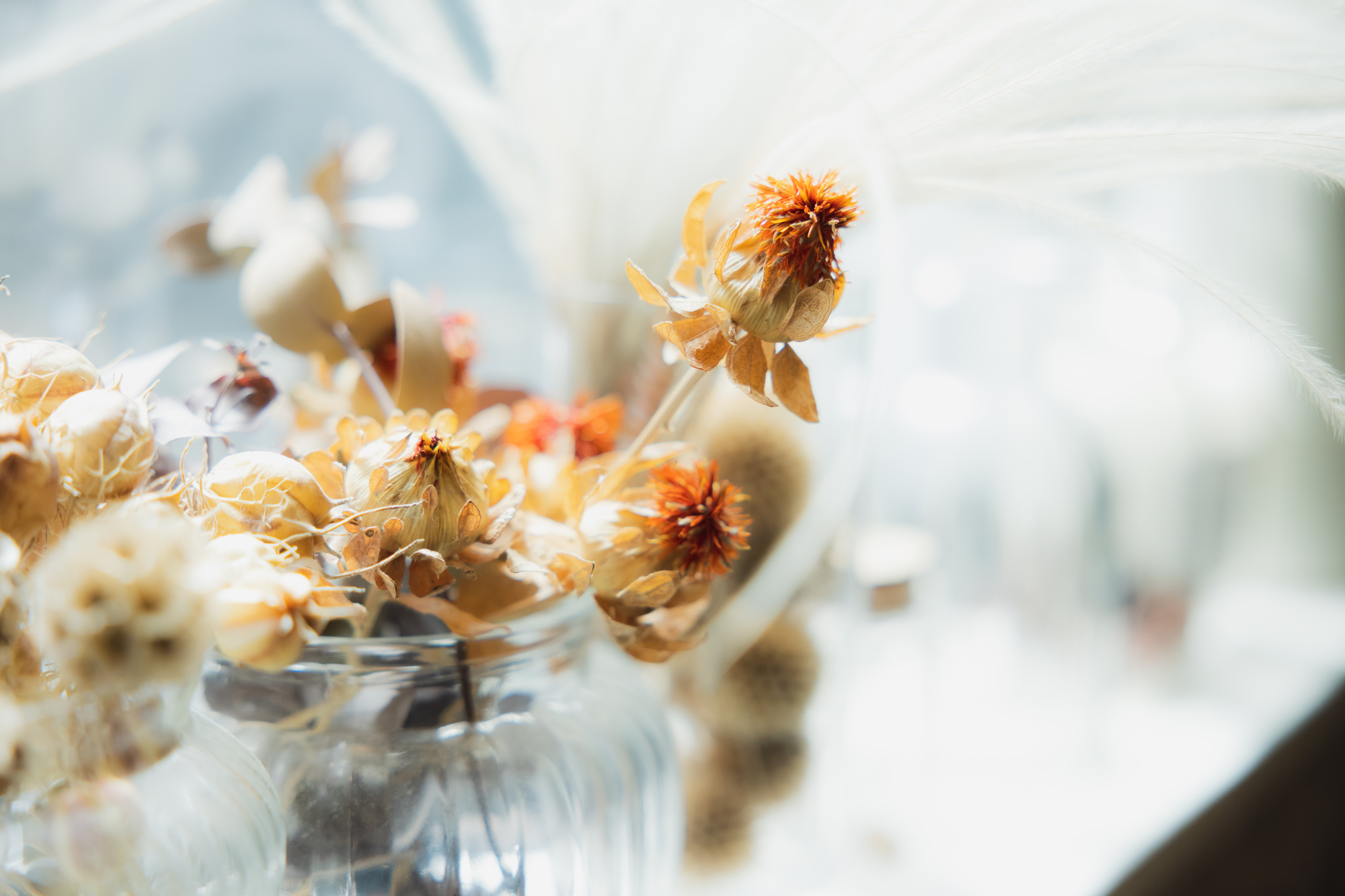 写真：女性美容イメージ