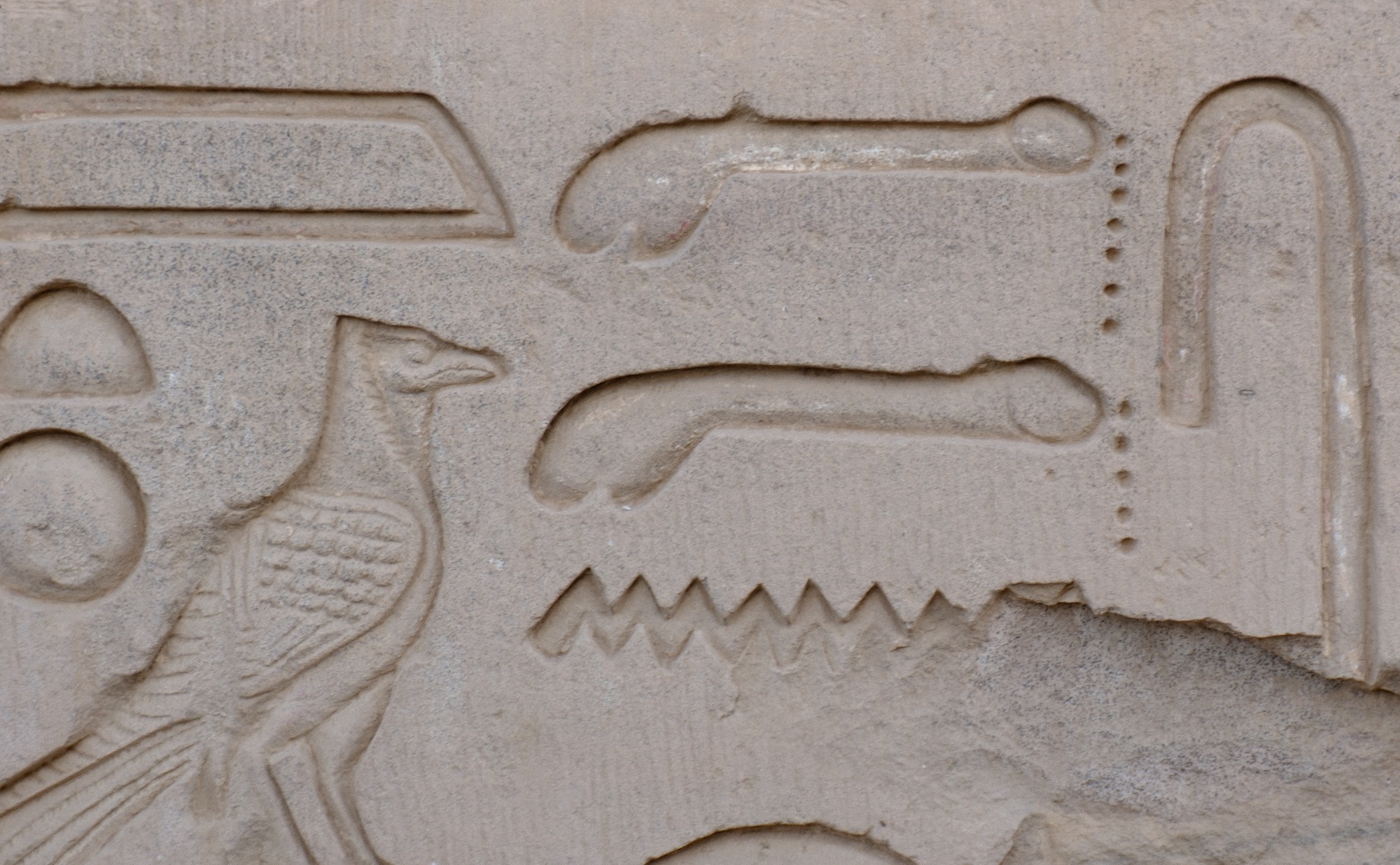 エジプト古王国プトレマイオス朝のコム・オンボ神殿のレリーフです。